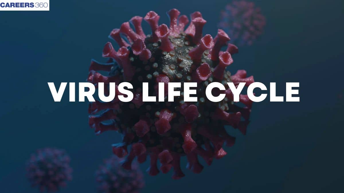 Virus Life Cycle: Introduction, Overview, Stages, Types, Life Cycle, FAQs