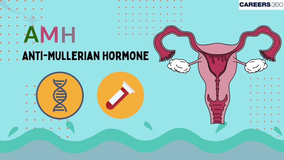 Anti-Müllerian Hormone (AMH): Full Form, Definition, Function & Role in ...