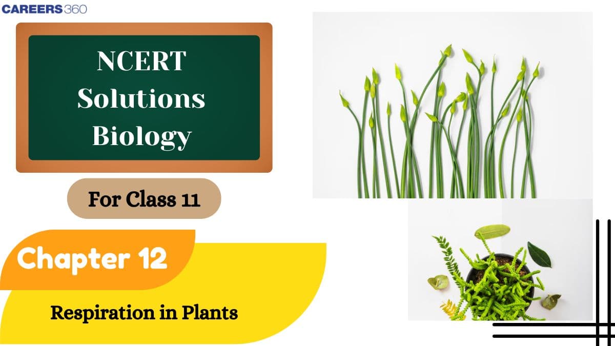 NCERT Solutions for Class 11 Biology Chapter 12 Respiration in Plants