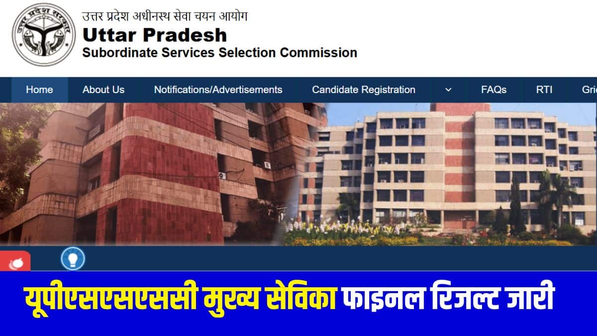 मुख्य सेविका के 2,567 पदों के लिए कुल 2,536 उम्मीदवारों का चयन किया गया है। (आधिकारिक वेबसाइट)