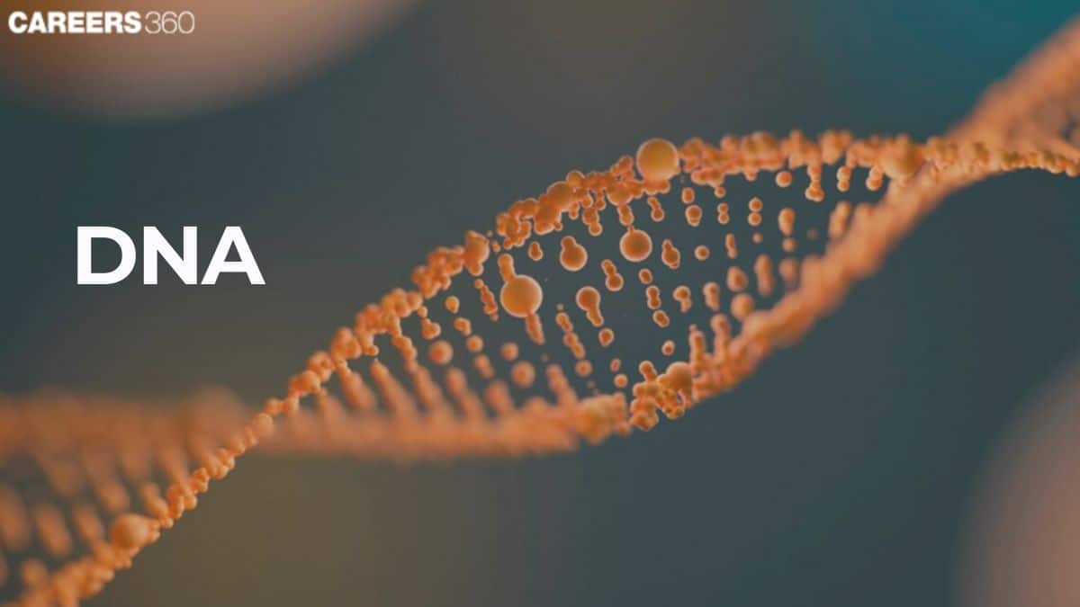 DNA: Full Form, Definition Structure, Function, Diagram, Facts, Discovery