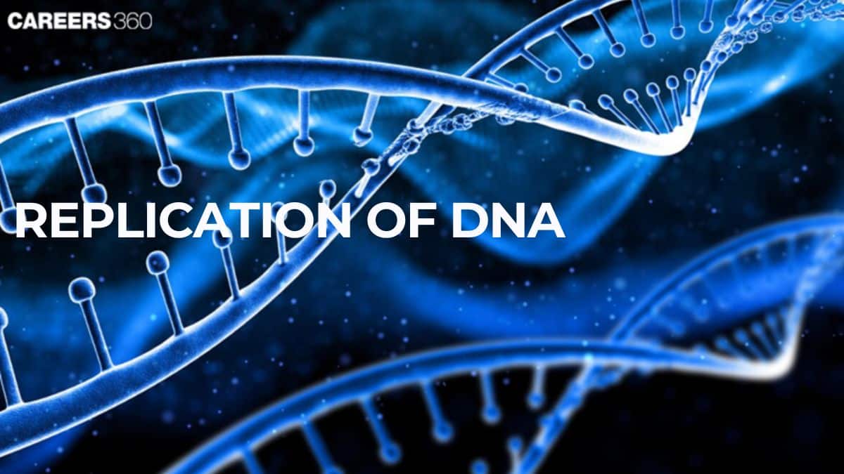 Replication of DNA: Know Process and Diagram