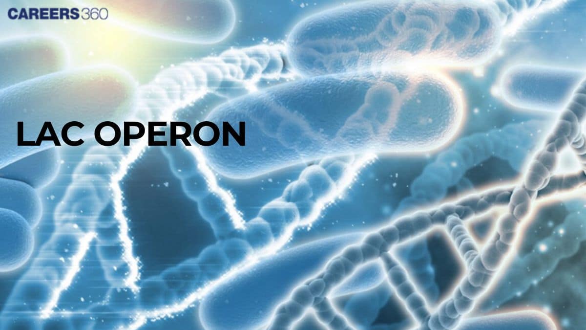 Lac Operon - Concept, Diagram, Notes, Gene Regulation