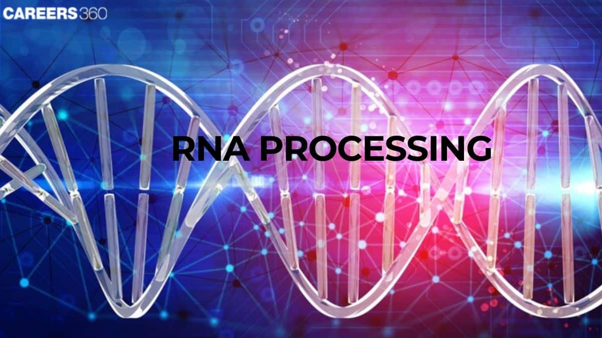 RNA Processing: Definition, Steps, Types and Examples