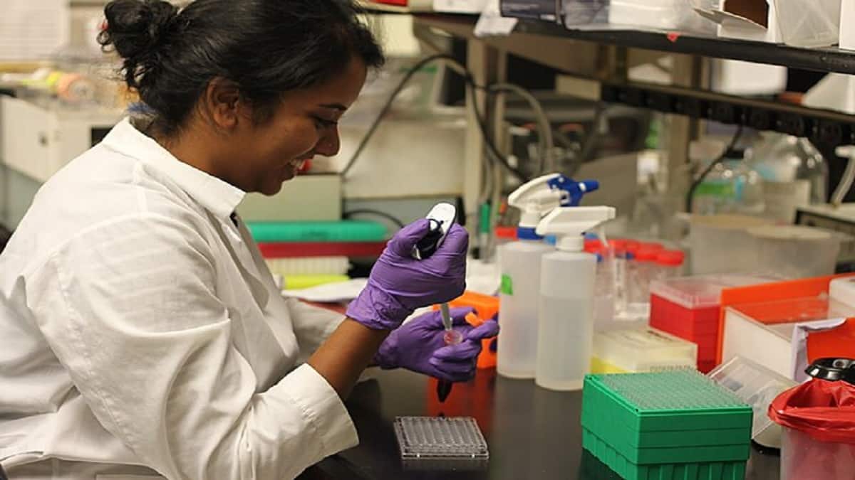 NEET UG 2025: Who is eligible under NRI quota? (Representational image: Wikimedia Commons)