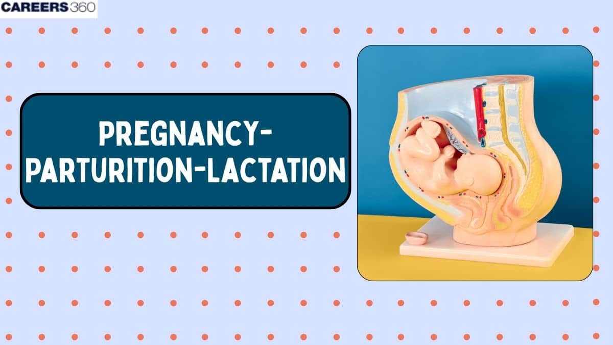 Pregnancy-Parturition-Lactation: Parturition, Lactation