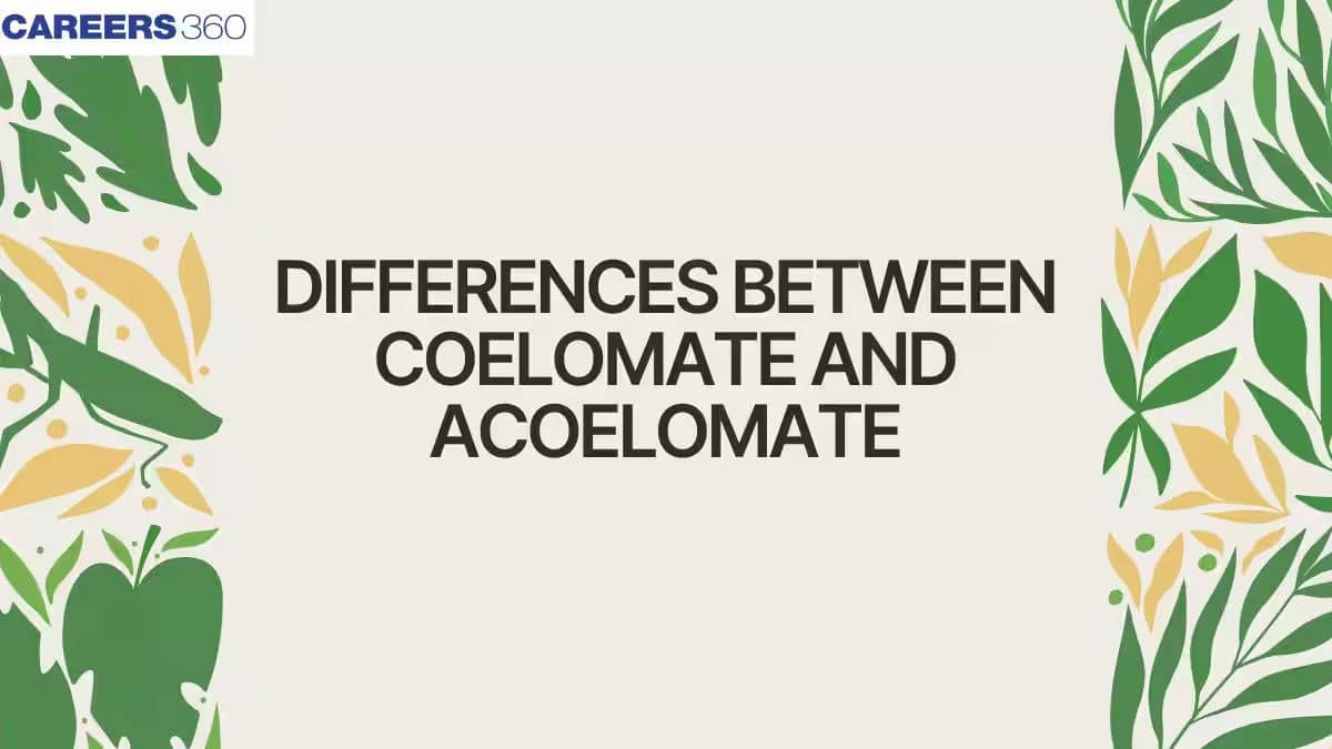Differences between Coelomate and Acoelomate: Example & Characteristics