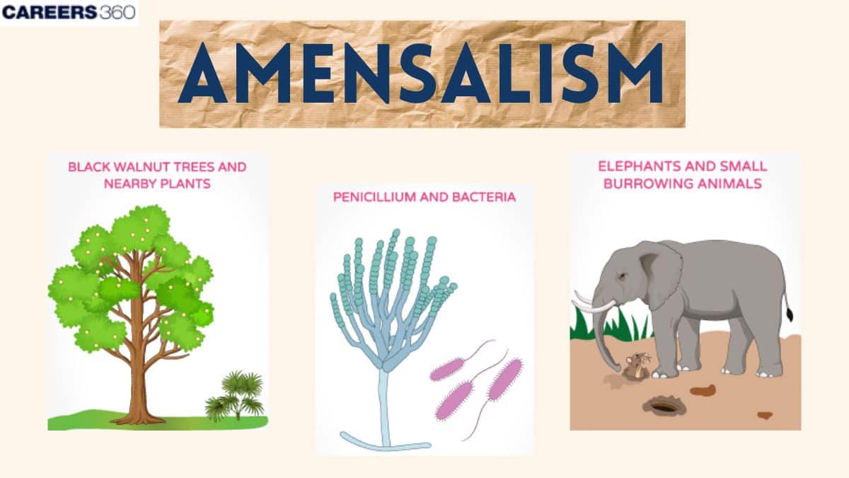 Amensalism-Defination & Examples