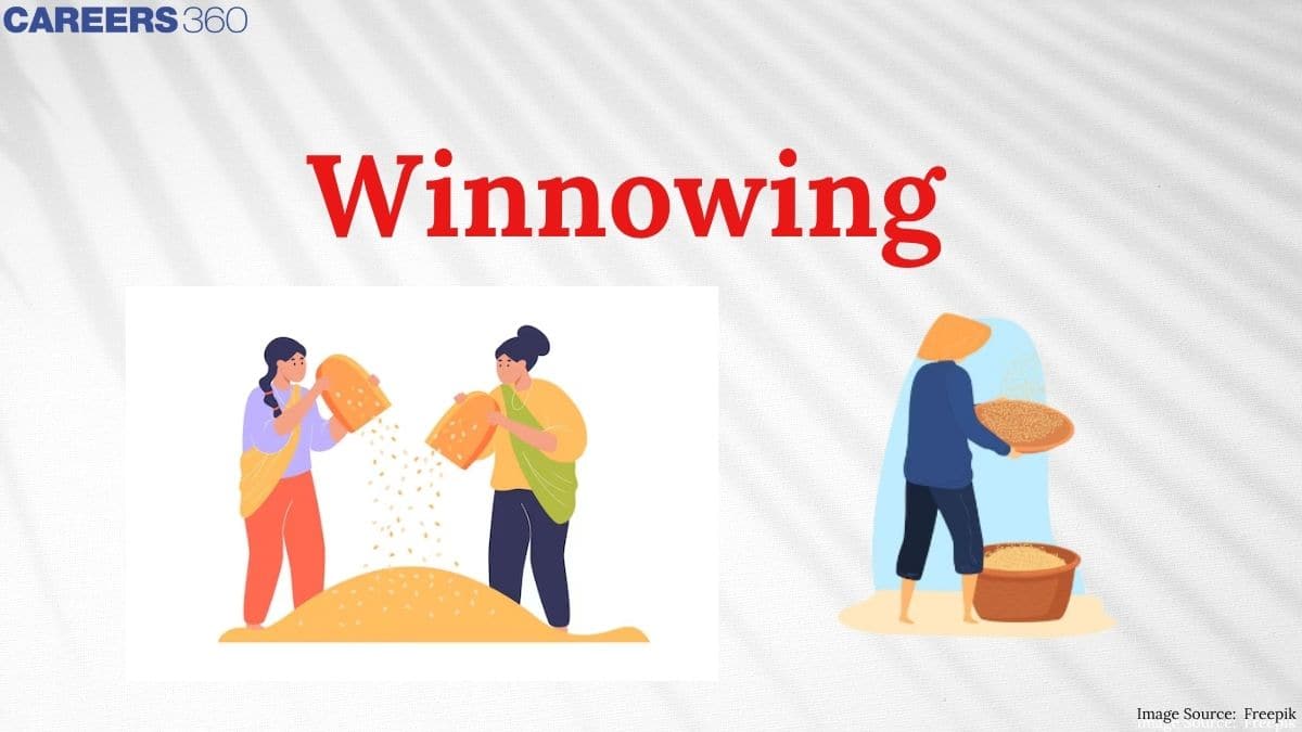 Winnowing - Definition, Advantages and Disadvantages, Threshing FAQs