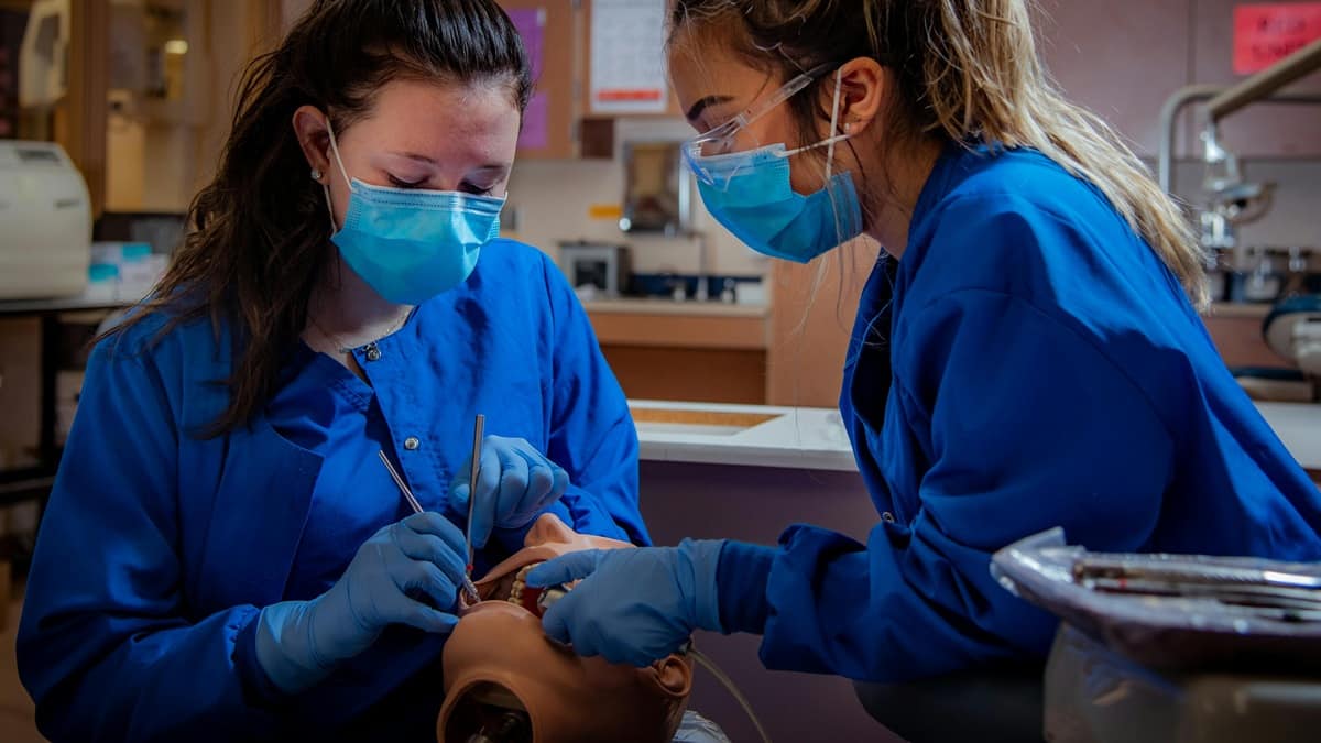 TN Paramedical counselling 2025 allotment list today. (Representational Image: Pexels.com)