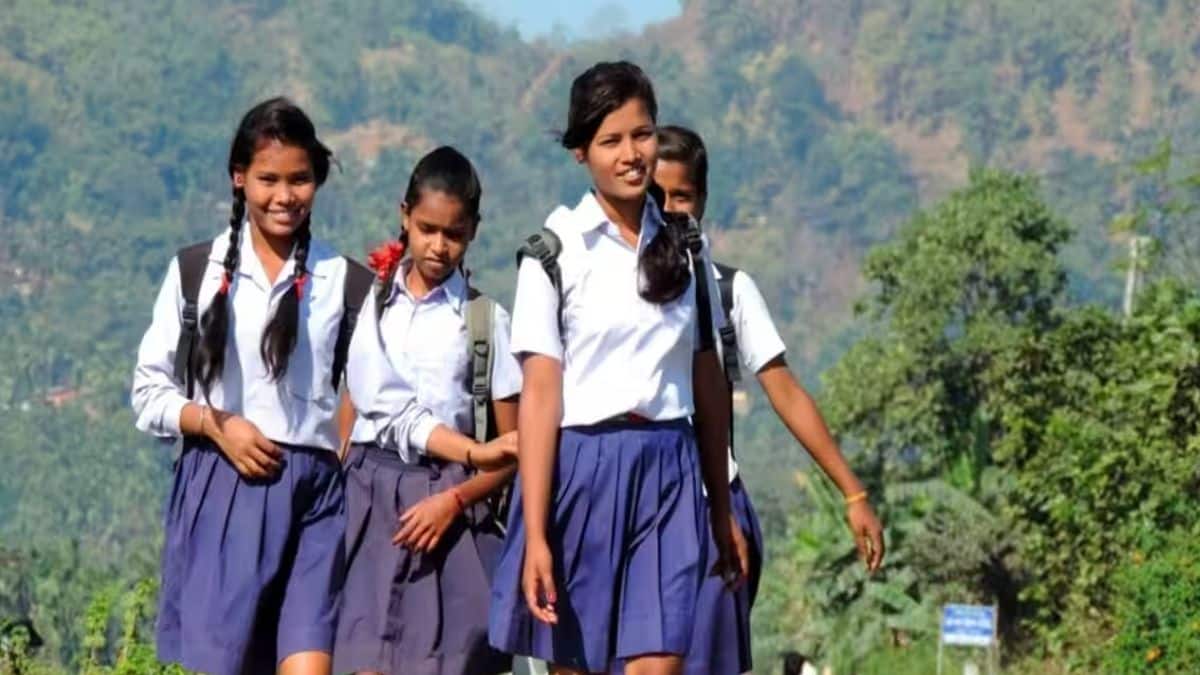एचबीएसई कक्षा 10वीं रिजल्ट 2025 बोर्ड की आधिकारिक वेबसाइट bseh.org.in पर जारी किया जाएगा। (प्रतीकात्मक-विकिमीडिया कॉमन्स)