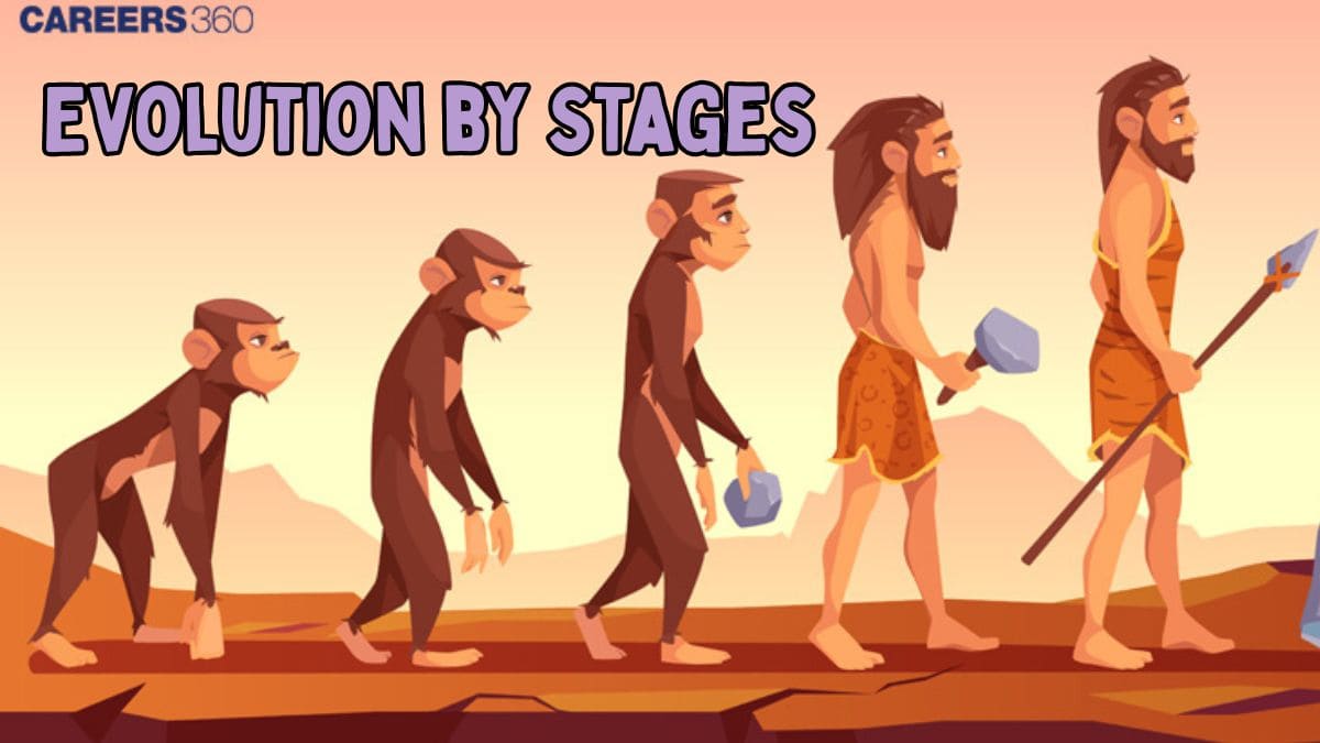 Evolution by Stages: Definition and Examples