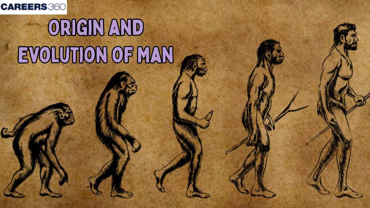 Origin and Evolution of Man: Definition and Examples