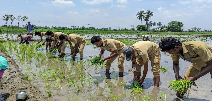 Despite ‘professional’ label, agriculture courses don't automatically translate to job opportunities. (Image: TNAU Coimbatore website)
