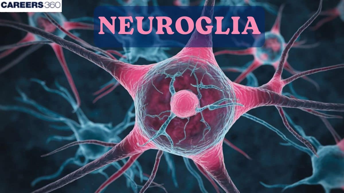Neuroglia