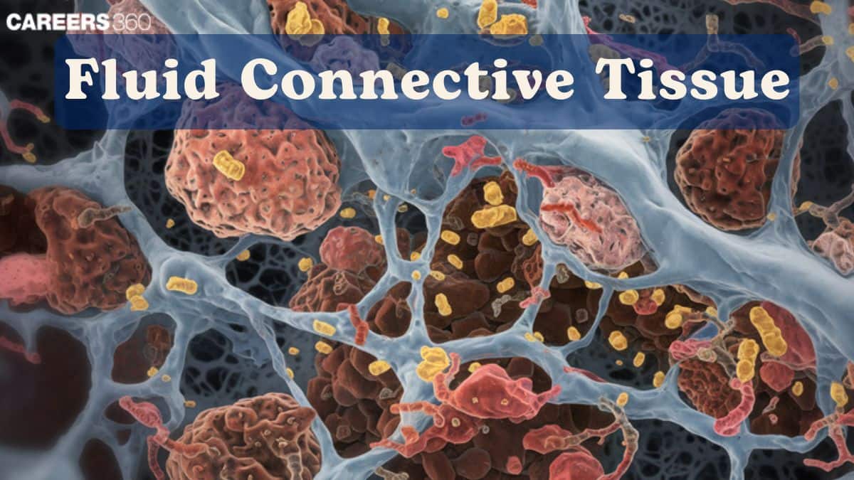 Fluid Connective Tissues