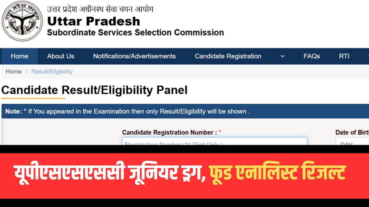 यूपीएसएसएससी जूनियर ड्रग एनालिस्ट मुख्य परीक्षा का आयोजन 2 फरवरी 2025 को पूरे प्रदेश में किया गया था। (आधिकारिक वेबसाइट)