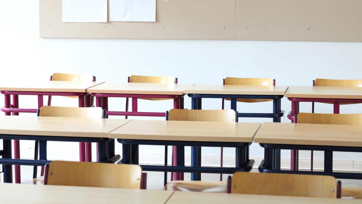 Bihar Board Exam 2025-26 LIVE: BSEB half yearly exam class 9, 10, 11, 12 ongoing; question paper, answer key