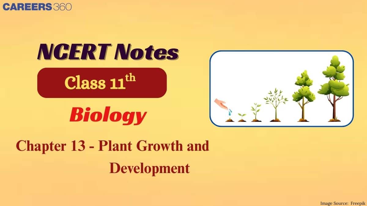 NCERT Class 11 Biology Chapter 15 Notes Plant Growth And Development ...