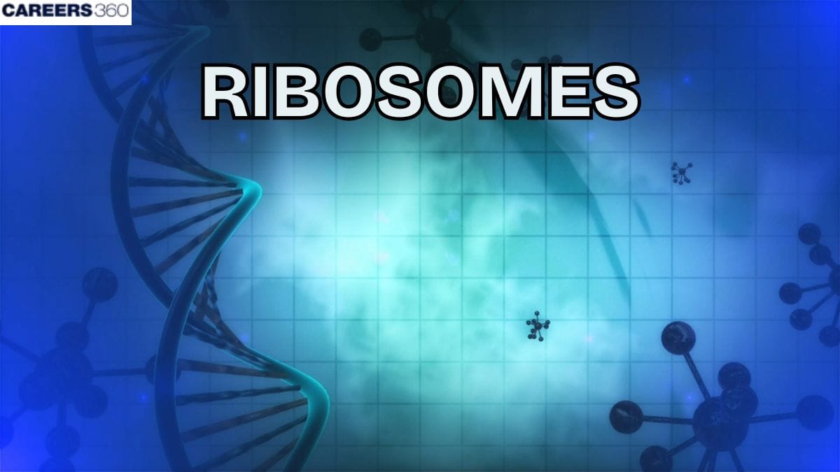Ribosomes