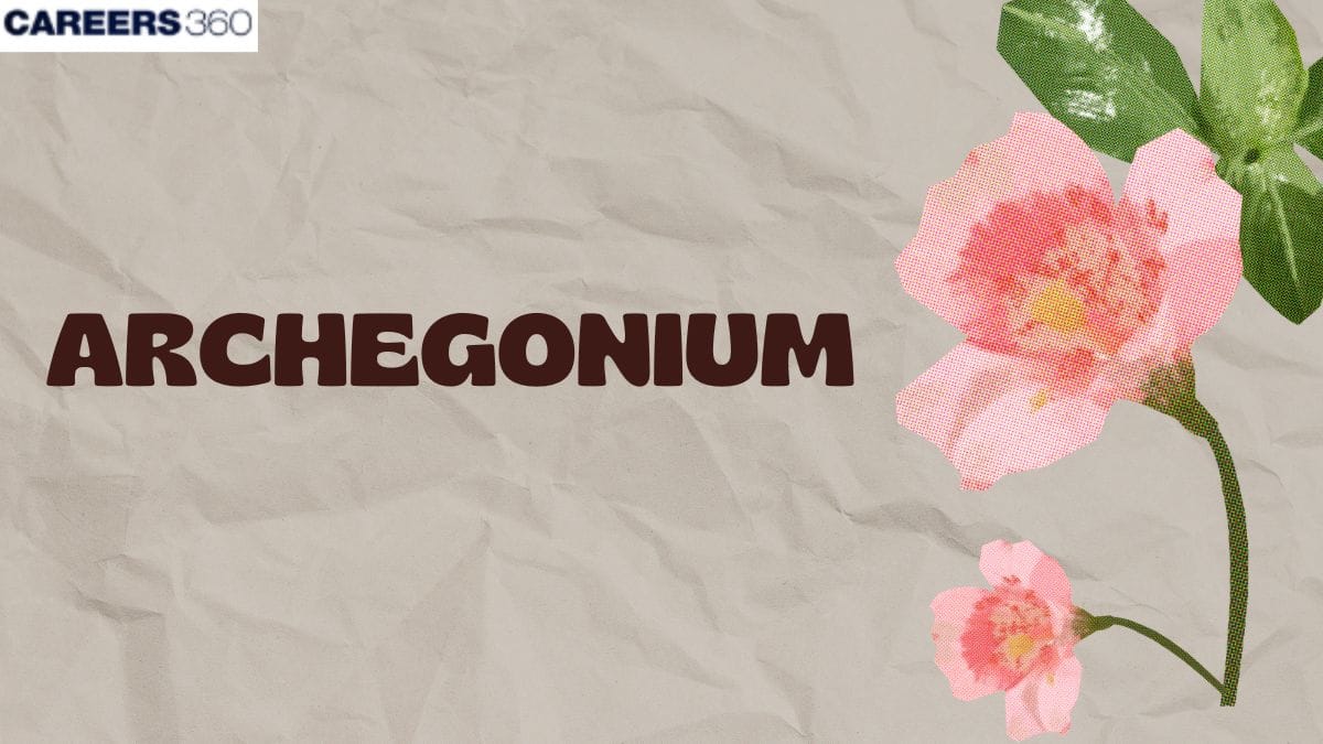 Archegonium - Structure & Defination