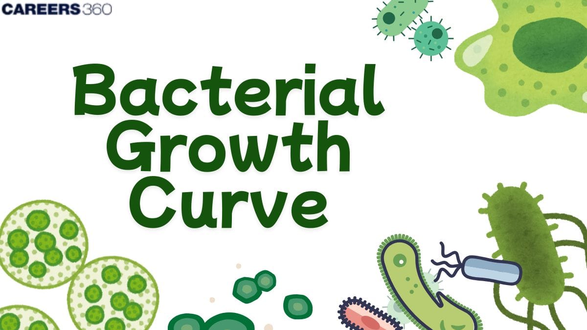Bacterial Growth Curve
