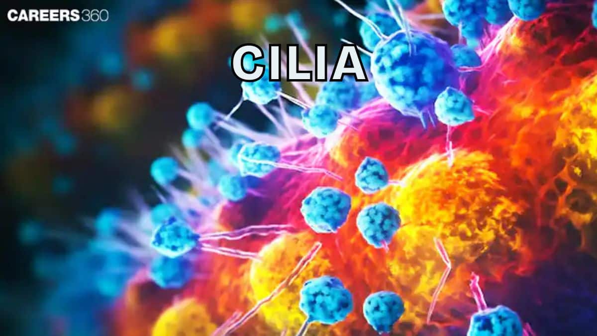 Cilia
