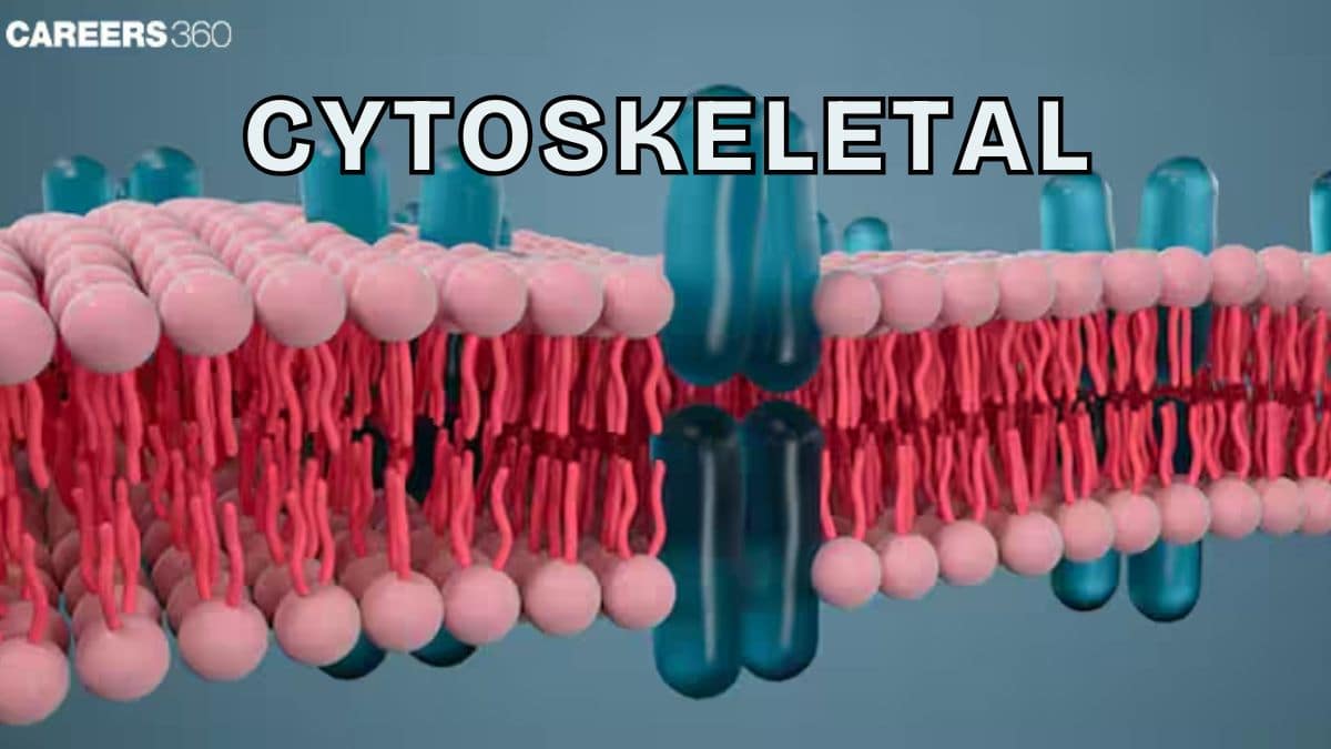 Cytoskeleton: Definition, Types, Examples, Diagram, Functions, Structure