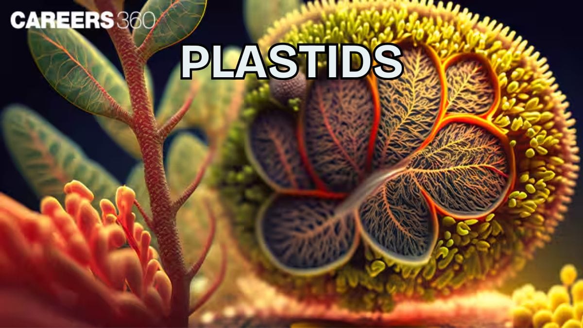Plastids: Definition, Types, Examples, Diagram, Function