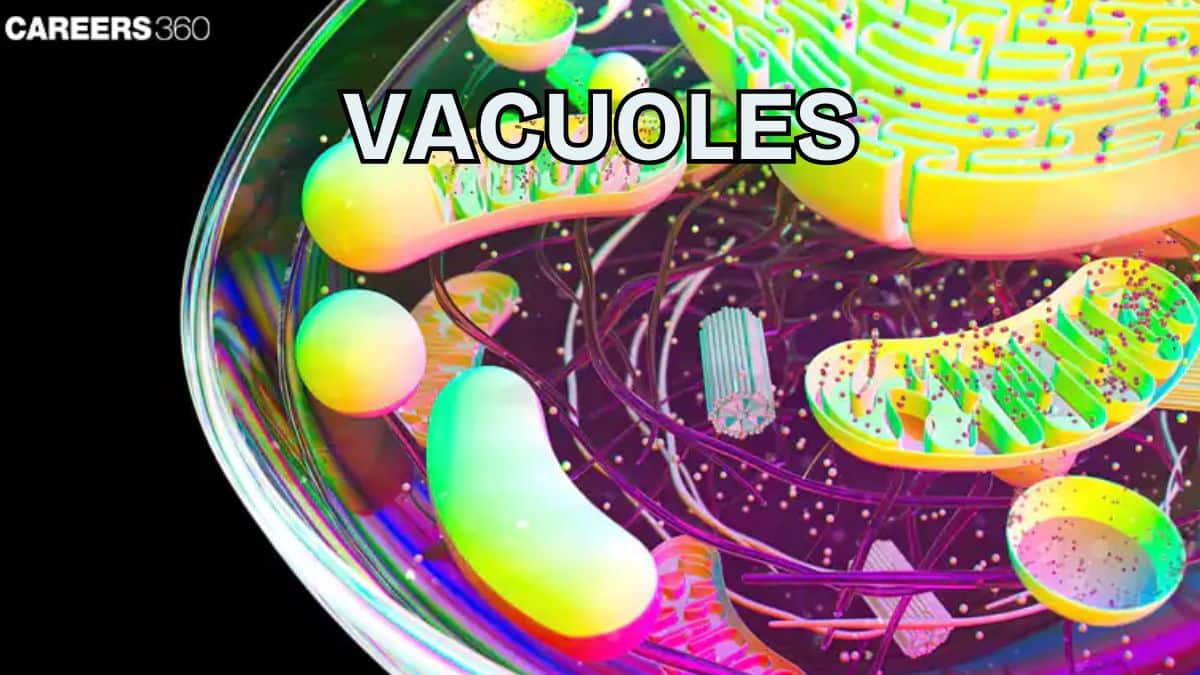 Vacuoles: Definition, Types, Examples, Diagram, Functions