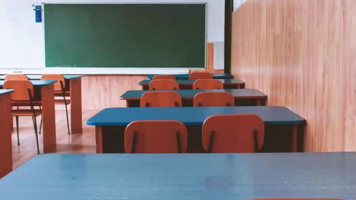 NIOS 10th, 12th Result 2025: एनआईओएस क्लास 10वीं-12वीं अक्टूबर-नवंबर के रिजल्ट results.nios.ac.in पर जारी