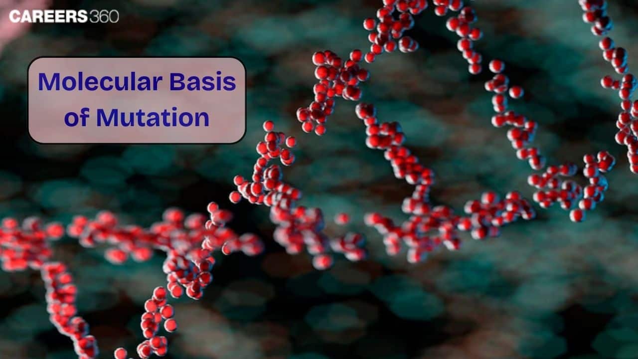 Molecular Basis Of Mutation: Mutation, Repair and Recombination
