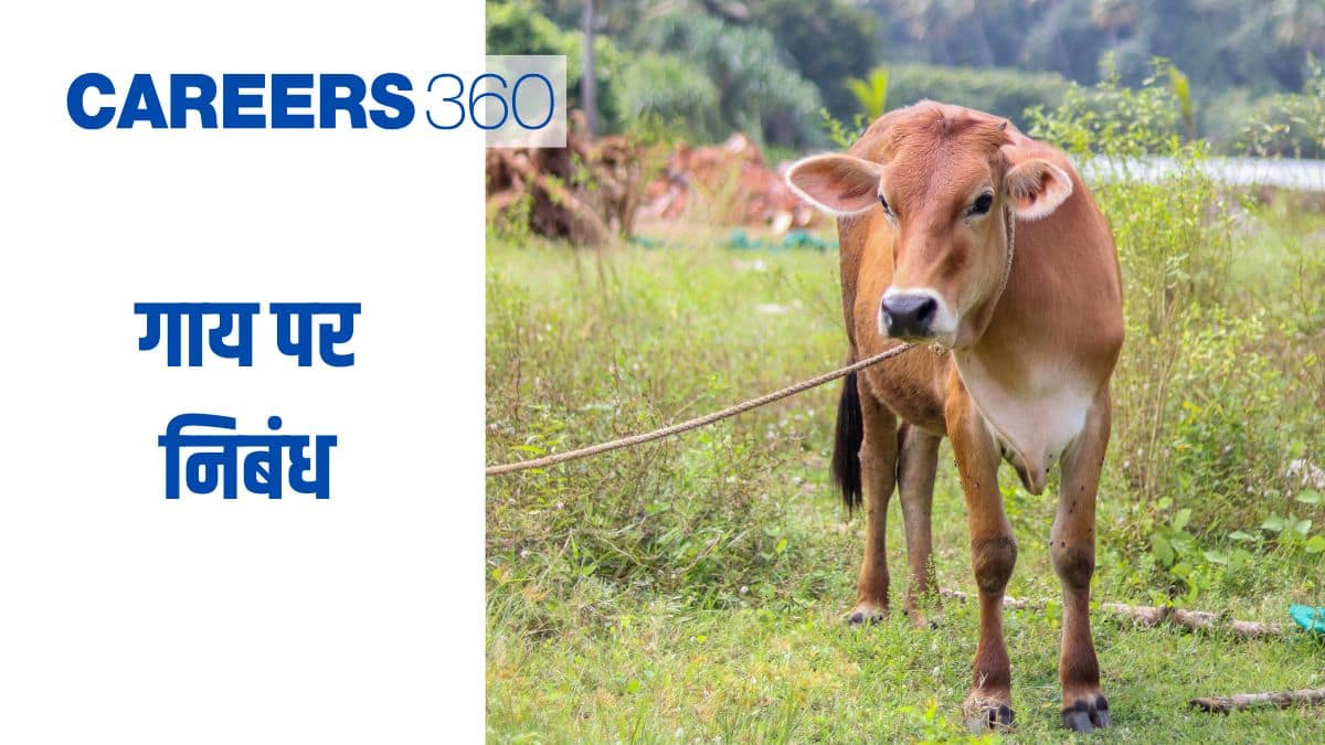 गाय पर निबंध (Essay on Cow in hindi) - गाय पर निबंध 100 शब्दों में यहाँ देखें