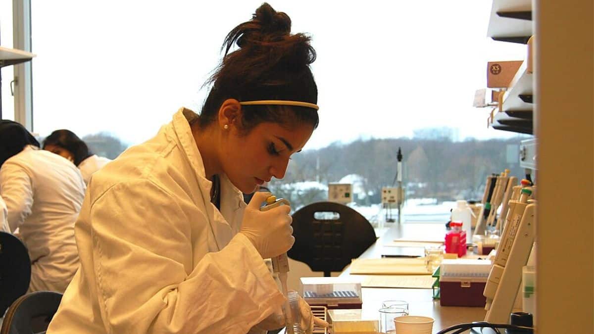 The parliament committee on ANRF found that just 61% of its budget for the current financial year, 2025-2026 has been utlised out of Rs 2,000 crore. (Representational Image: Wikimedia Commons)