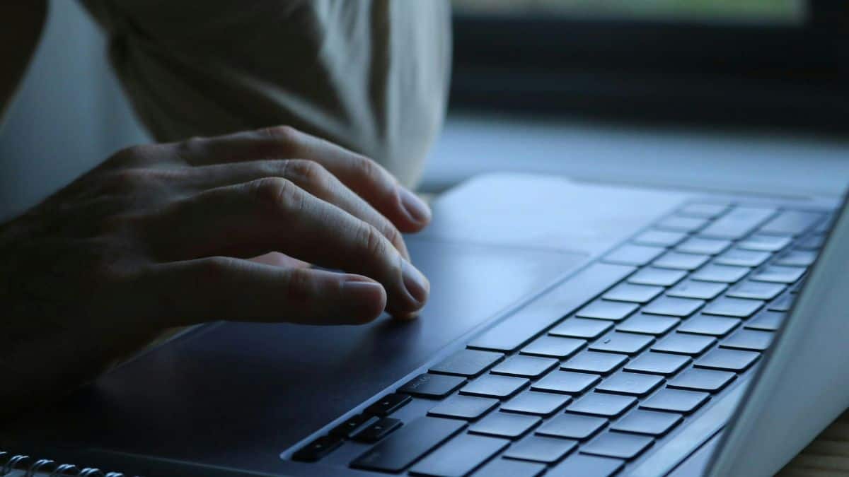 NCTE reopens PAR portal for teacher training institutes (Representational image: pexels)