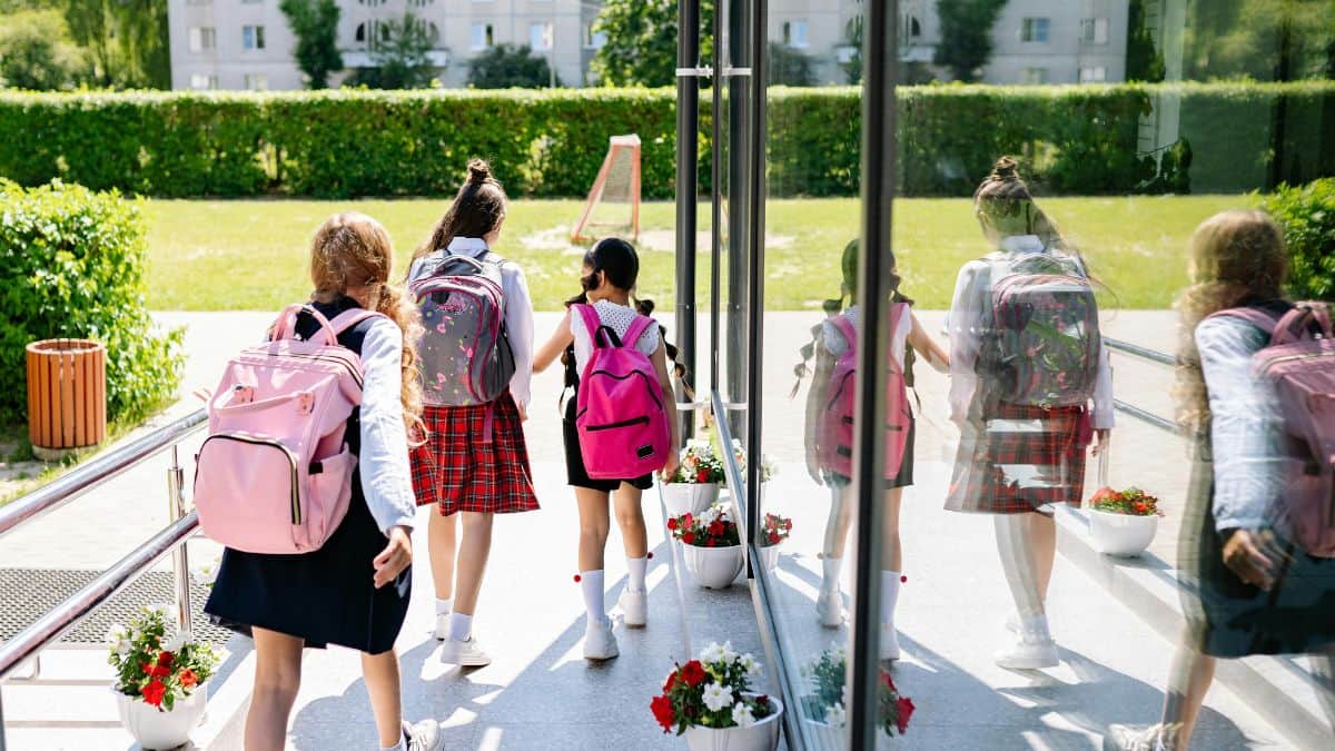 State-wise summer holiday 2026 (Representational image: pexels)