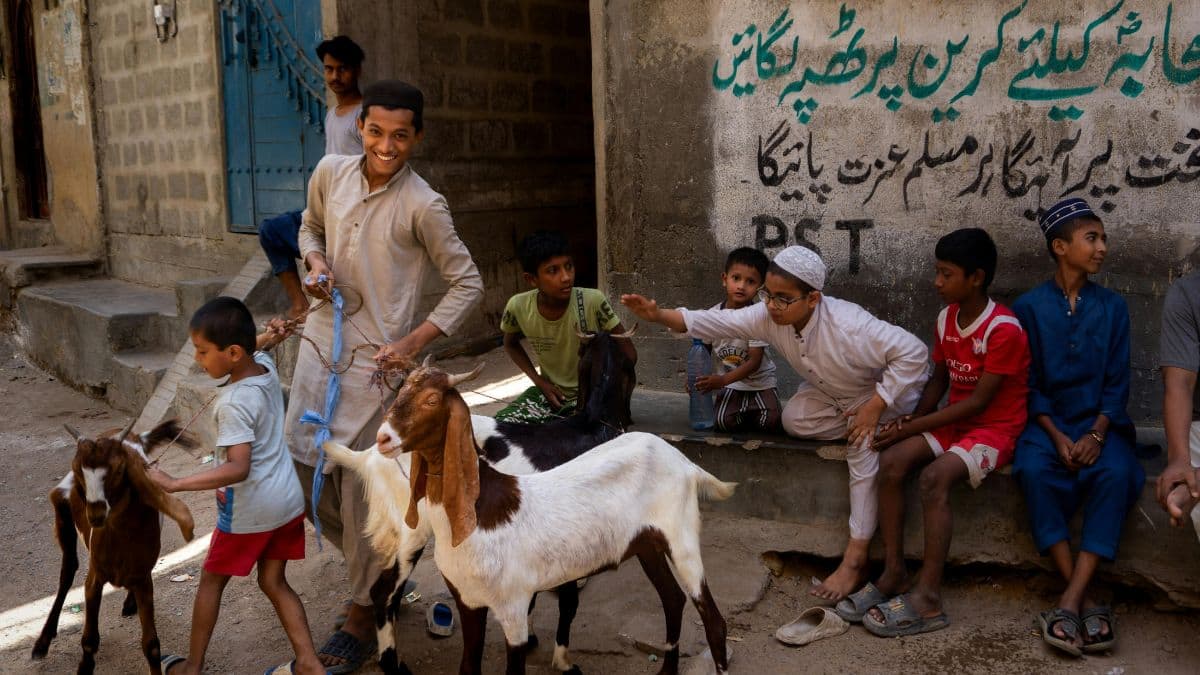 West Bengal Bakra Eid 2026 holiday (Representational image: pexels)