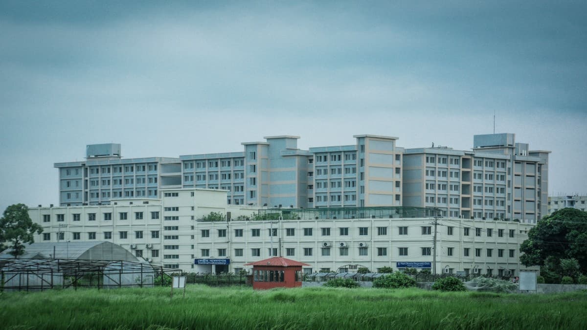 NMC directs colleges to handle routine faculty eligibility cases. (Representational Image: Pexels)