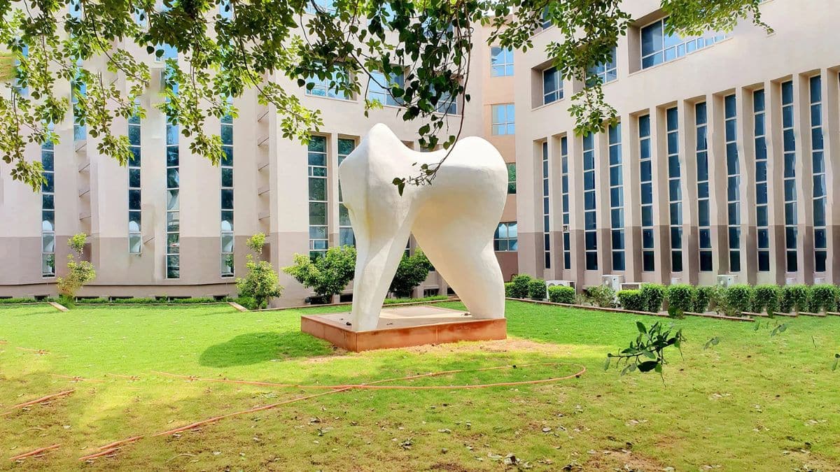 3 specialised centres at Manav Rachna Dental College inlcude for digital dentistry, implantology, temporomandibular disorder. (Image: Manav Rachana Dental College)