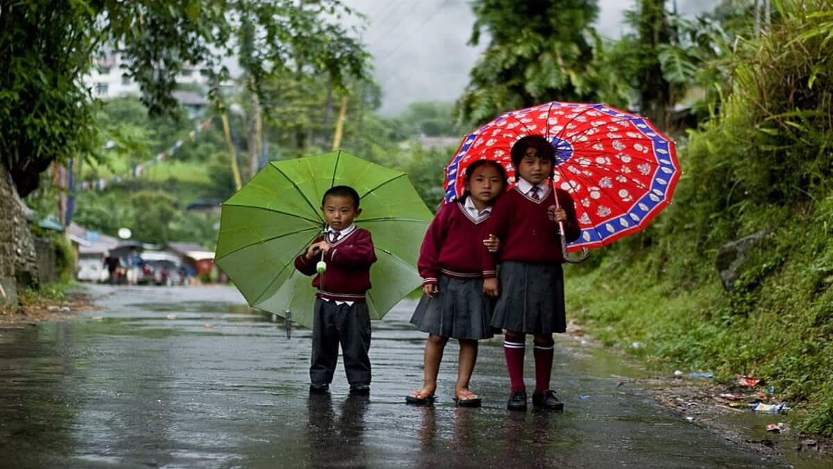 "Field-level officials had been put on high alert and instructed to deploy pumps to drain water from low-lying areas in case of waterlogging," an official said. (Representational image:Wikimedia Commons)