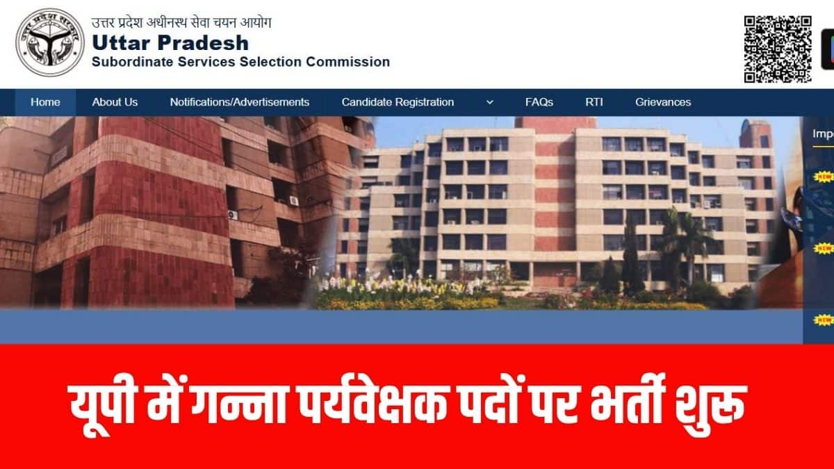 इस भर्ती के लिए चयन कुल 100 अंकों की लिखित परीक्षा के आधार पर होगा। (आधिकारिक वेबसाइट)