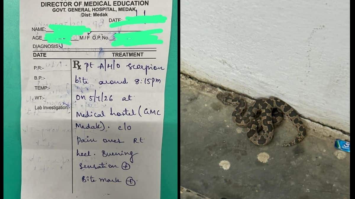 MBBS students of GMC Medak, Telangana, have raised safety concerns. (Image: FAIMA official X account)