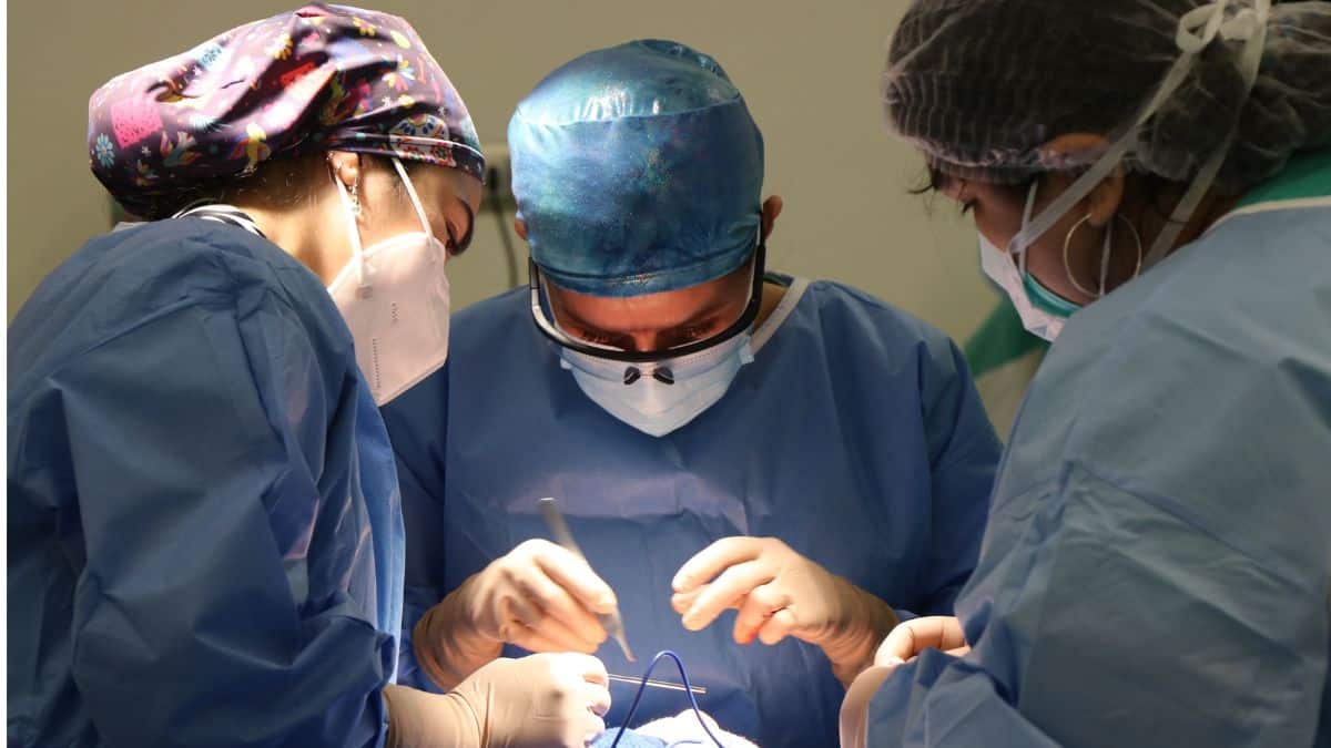 Admission to MBBS in deemed university medical colleges is via MCC NEET UG counselling 2026 (Representative Image: Pexels)
