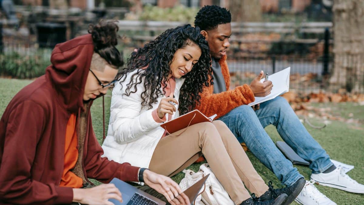 DU NCWEB Admission 2026: Second cut-off for BA, BCom out; online admission starts Aug 4 (Representational Image: Pexels)