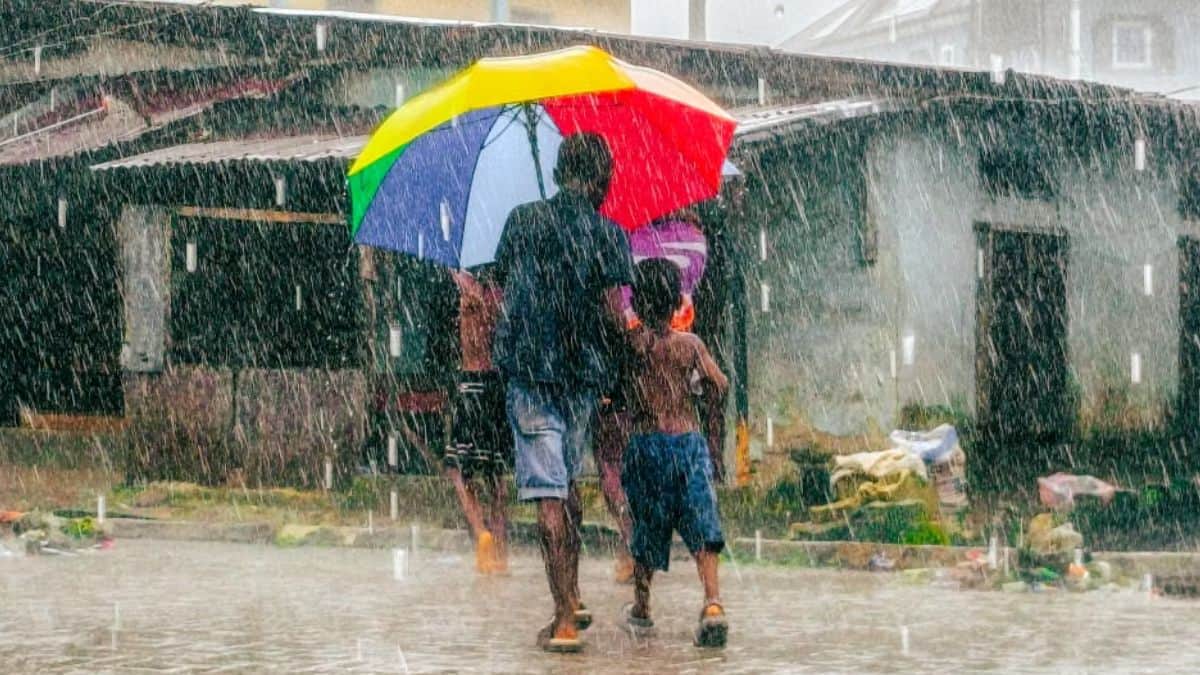 Dehradun schools, Anganwadi centres closes today (Representational image: pexels)