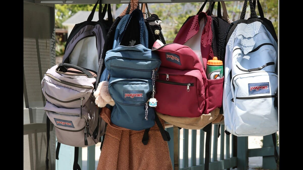 BJP MLA-owned school withdraws onion, garlic lunchbox advisory after MNS protest (Representational Image: Pexels)
