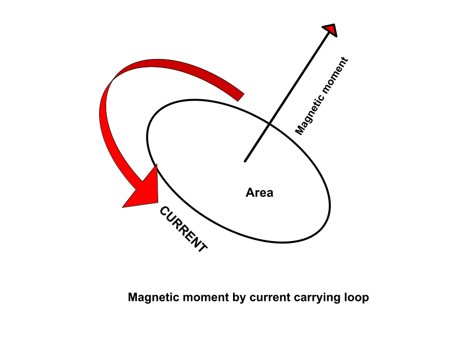 Which Shows The Maximum Magnetic Moment