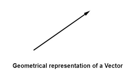 Geometrical representation of a vector