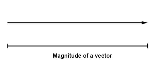 Magnitude of a vector