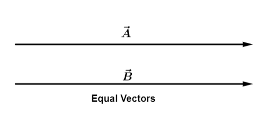 Equal vector